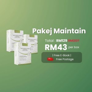 Pakej Maintain