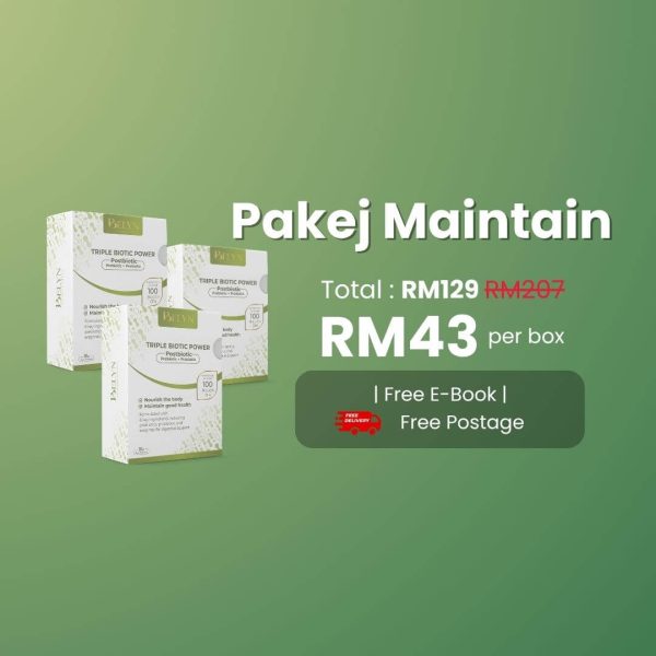 Pakej Maintain